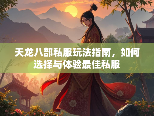 天龙八部私服玩法指南，如何选择与体验最佳私服  第1张