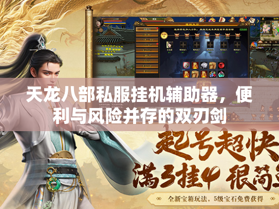 天龙八部私服挂机辅助器，便利与风险并存的双刃剑  第1张