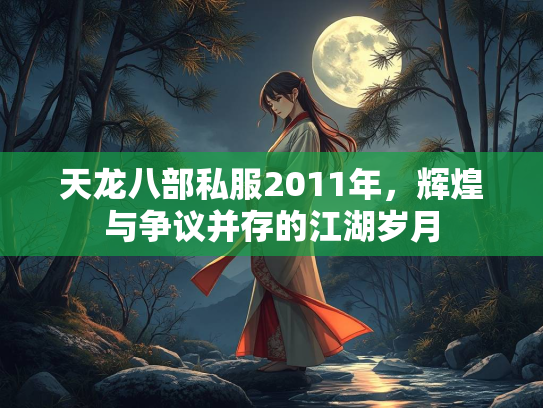 天龙八部私服2011年，辉煌与争议并存的江湖岁月  第1张
