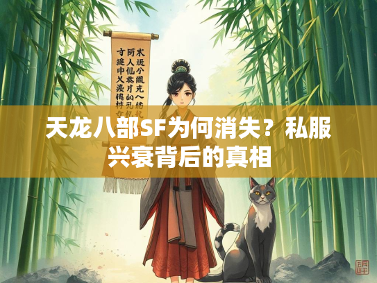 天龙八部SF为何消失？私服兴衰背后的真相  第3张