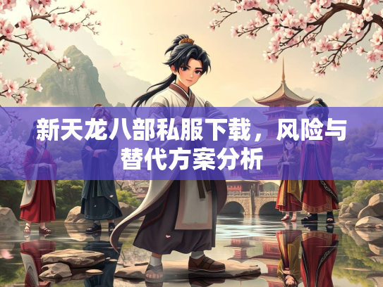 新天龙八部私服下载，风险与替代方案分析  第3张