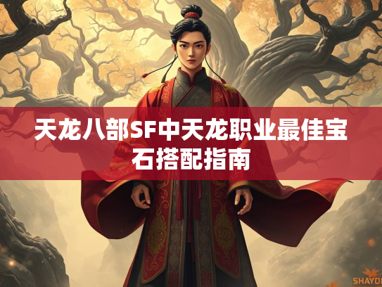 天龙八部SF中天龙职业最佳宝石搭配指南  第2张