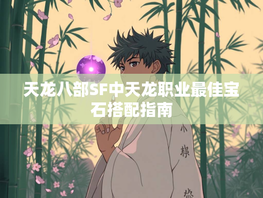 天龙八部SF中天龙职业最佳宝石搭配指南  第1张