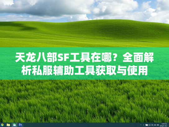 天龙八部SF工具在哪？全面解析私服辅助工具获取与使用  第3张