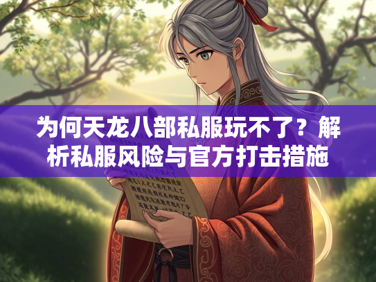 为何天龙八部私服玩不了？解析私服风险与官方打击措施  第1张