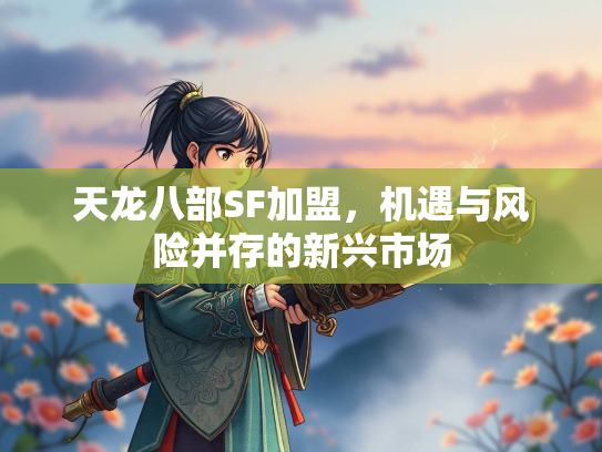 天龙八部SF加盟，机遇与风险并存的新兴市场  第3张