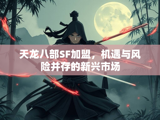 天龙八部SF加盟，机遇与风险并存的新兴市场  第1张