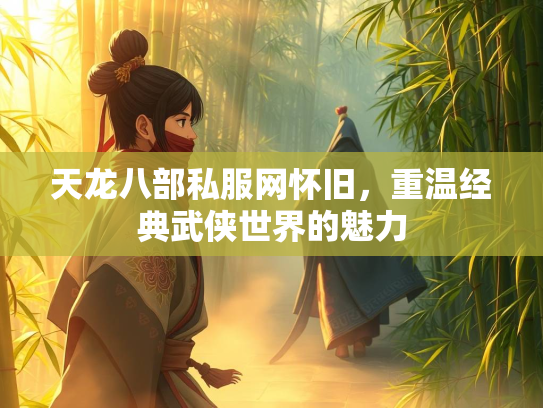 天龙八部私服网怀旧，重温经典武侠世界的魅力  第1张