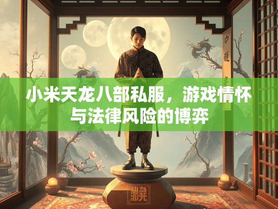 小米天龙八部私服，游戏情怀与法律风险的博弈  第2张
