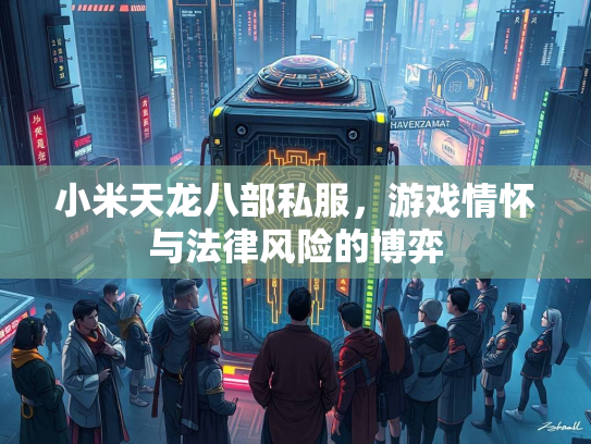 小米天龙八部私服，游戏情怀与法律风险的博弈  第1张