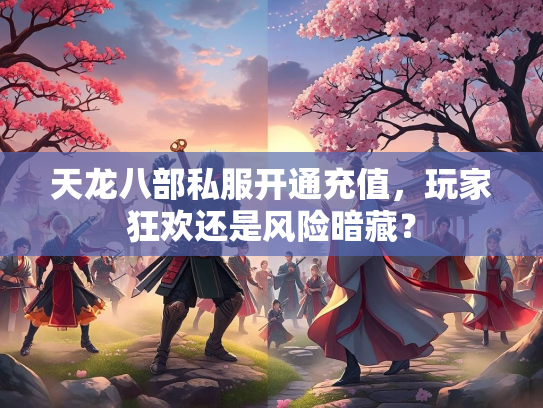 天龙八部私服开通充值，玩家狂欢还是风险暗藏？  第1张