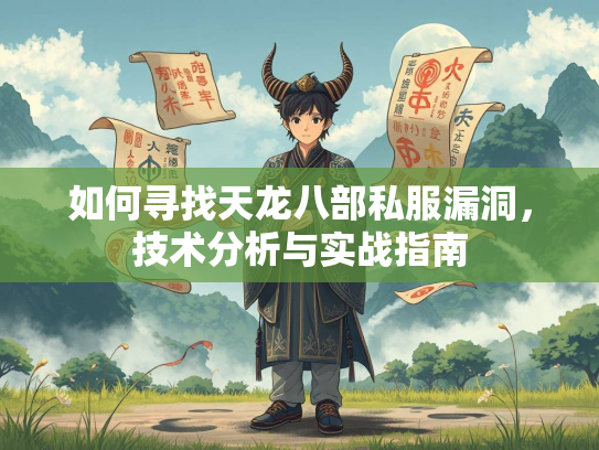 如何寻找天龙八部私服漏洞，技术分析与实战指南  第2张
