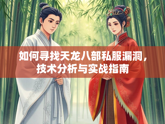 如何寻找天龙八部私服漏洞，技术分析与实战指南  第3张