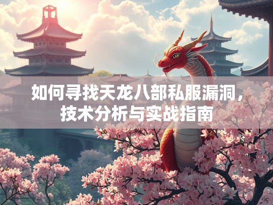 如何寻找天龙八部私服漏洞，技术分析与实战指南  第1张