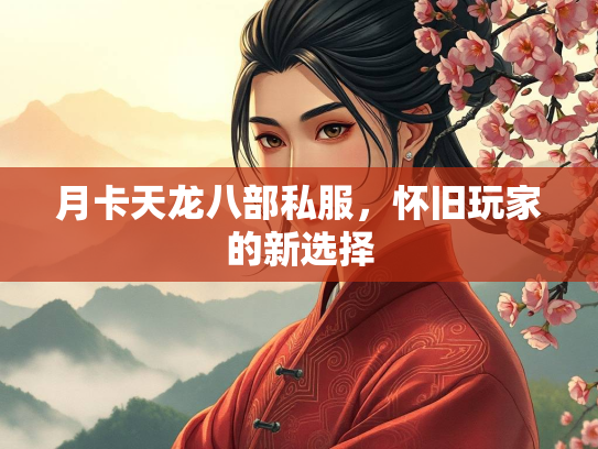 月卡天龙八部私服，怀旧玩家的新选择  第1张