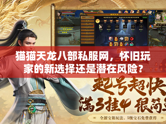 猫猫天龙八部私服网，怀旧玩家的新选择还是潜在风险？  第2张