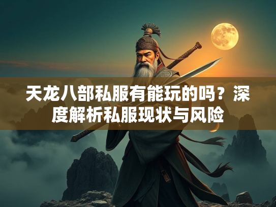 天龙八部私服有能玩的吗？深度解析私服现状与风险  第2张