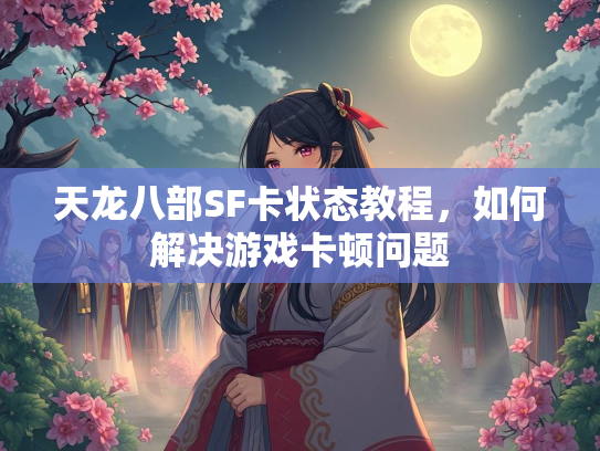 天龙八部SF卡状态教程，如何解决游戏卡顿问题  第1张