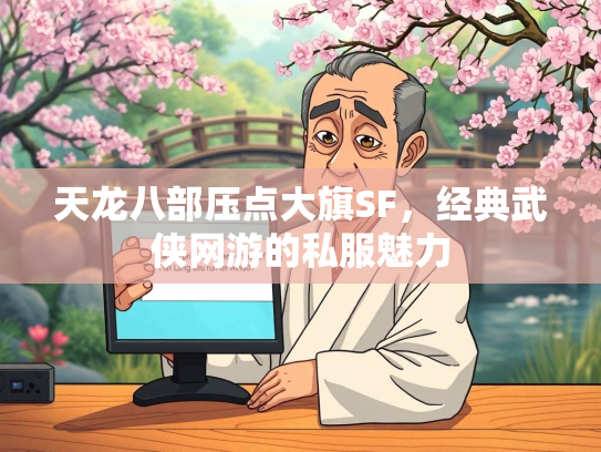 天龙八部压点大旗SF，经典武侠网游的私服魅力  第2张