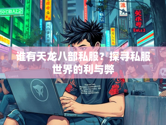 谁有天龙八部私服？探寻私服世界的利与弊  第2张