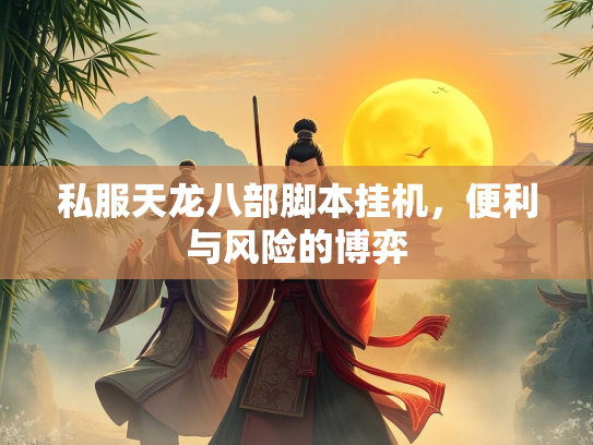 私服天龙八部脚本挂机，便利与风险的博弈  第2张