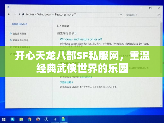 开心天龙八部SF私服网，重温经典武侠世界的乐园  第2张