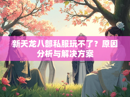 新天龙八部私服玩不了？原因分析与解决方案  第3张