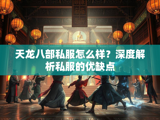 天龙八部私服怎么样？深度解析私服的优缺点  第3张