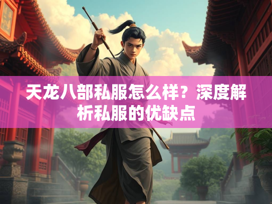 天龙八部私服怎么样？深度解析私服的优缺点  第4张