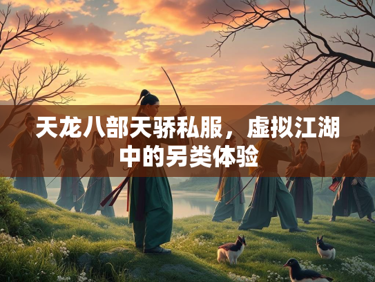 天龙八部天骄私服，虚拟江湖中的另类体验  第1张