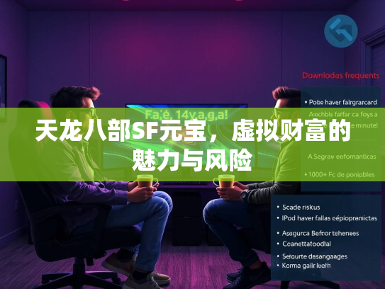 天龙八部SF元宝，虚拟财富的魅力与风险  第5张