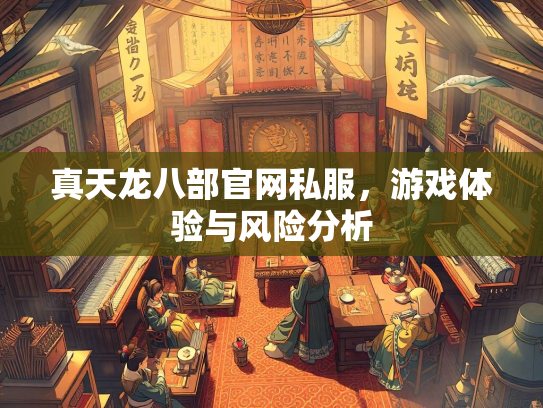 真天龙八部官网私服，游戏体验与风险分析  第2张