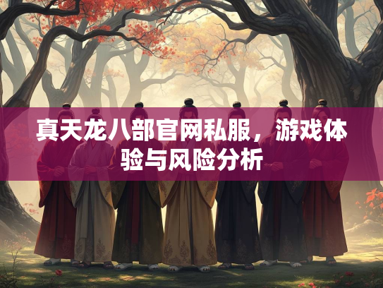 真天龙八部官网私服，游戏体验与风险分析  第1张