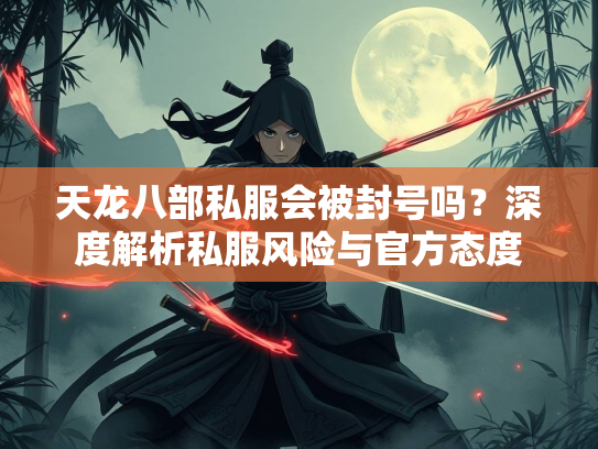 天龙八部私服会被封号吗？深度解析私服风险与官方态度  第3张
