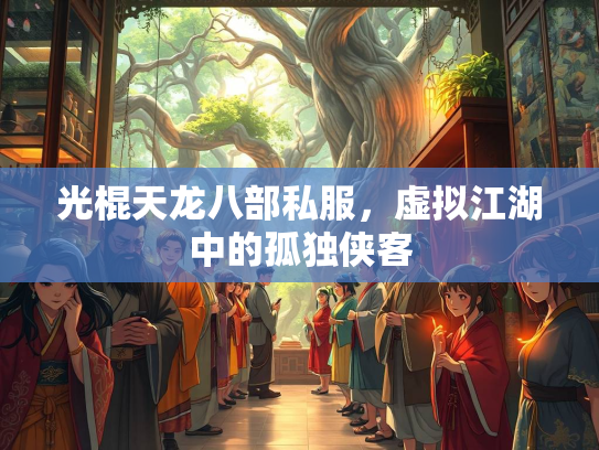 光棍天龙八部私服，虚拟江湖中的孤独侠客  第1张