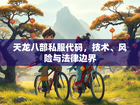 天龙八部私服代码，技术、风险与法律边界  第4张