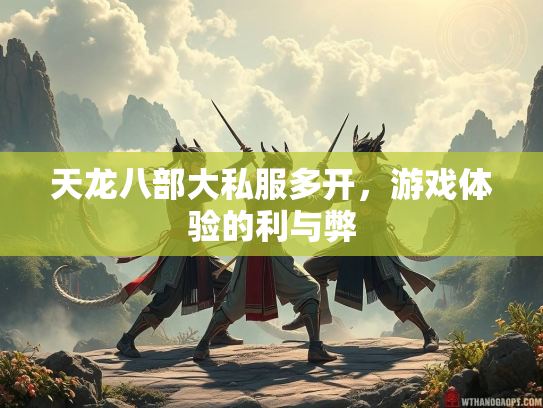 天龙八部大私服多开，游戏体验的利与弊  第4张
