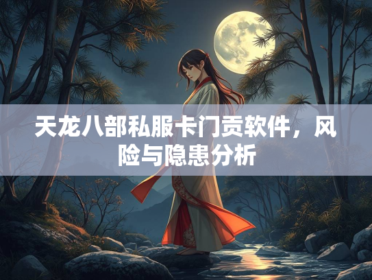 天龙八部私服卡门贡软件，风险与隐患分析  第2张