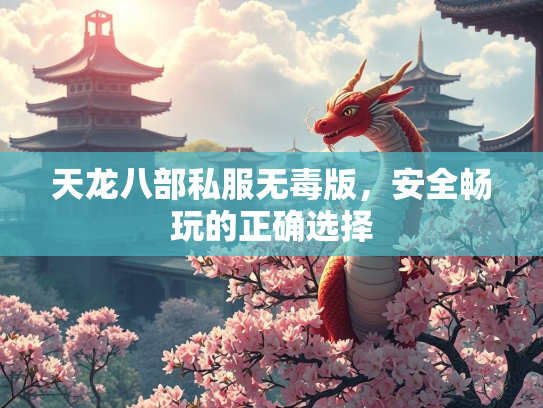 天龙八部私服无毒版，安全畅玩的正确选择  第4张