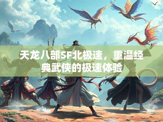 天龙八部SF北极速，重温经典武侠的极速体验  第5张