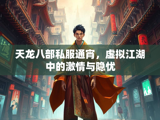天龙八部私服通宵，虚拟江湖中的激情与隐忧  第4张