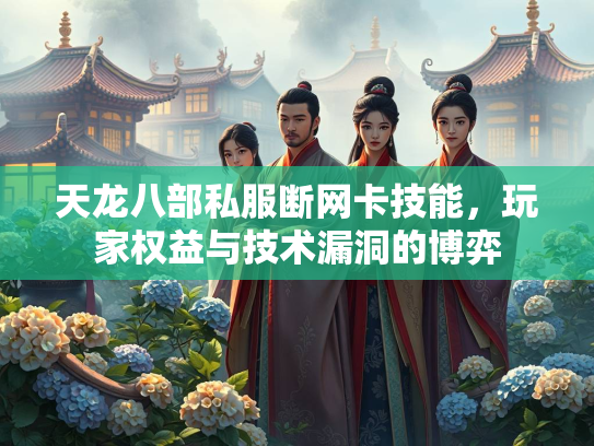 天龙八部私服断网卡技能，玩家权益与技术漏洞的博弈  第3张