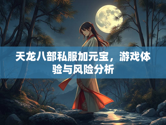 天龙八部私服加元宝，游戏体验与风险分析  第3张