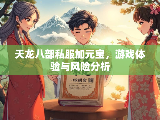 天龙八部私服加元宝，游戏体验与风险分析  第4张