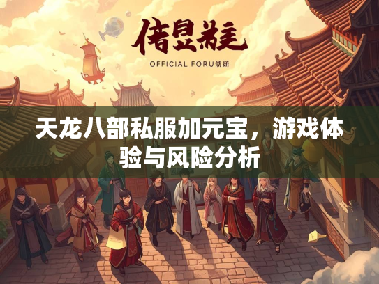 天龙八部私服加元宝，游戏体验与风险分析  第1张