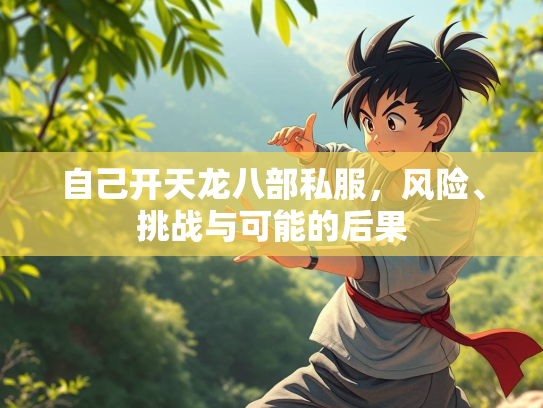 自己开天龙八部私服，风险、挑战与可能的后果  第3张