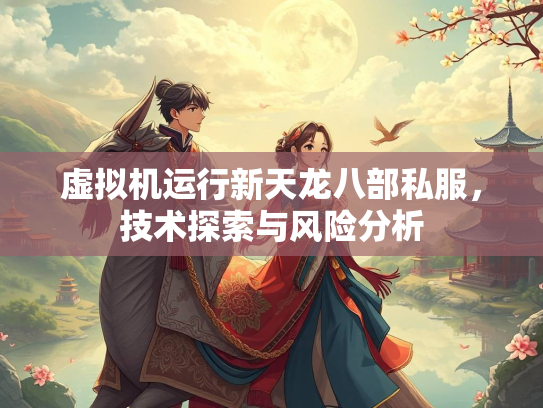 虚拟机运行新天龙八部私服，技术探索与风险分析  第3张