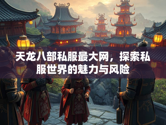 天龙八部私服最大网，探索私服世界的魅力与风险  第2张