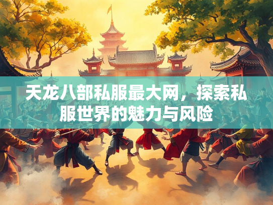 天龙八部私服最大网，探索私服世界的魅力与风险  第3张
