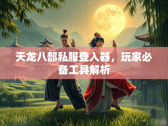 天龙八部私服登入器，玩家必备工具解析  第3张